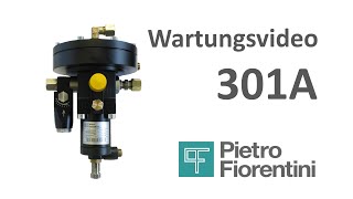 Fiorentini Deutschland Wartung 301A [upl. by Ern]