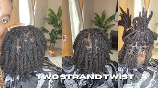 How to TWO STRAND TWISTS ON LOCS for beginners by Quincamara [upl. by Eulaliah]