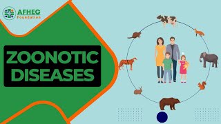 Zoonotic Diseases Series Causes and Prevention [upl. by Robbi536]