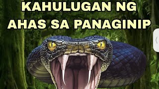 KAHULUGAN NG AHAS SA PANAGINIP [upl. by Onaled]