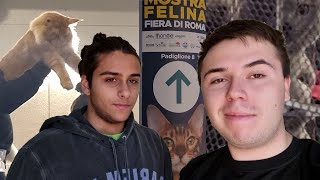 Visitiamo la Mostra felina a Roma  SuperCat Show 2021 [upl. by Edelson]