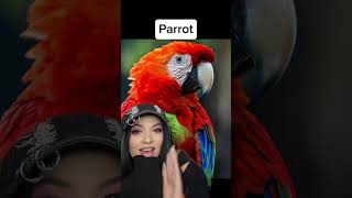 Animale fara blana  😳😱 duet with HOW THINGS HAPPEN 🌎 scary blana animale sarahjsun react [upl. by Imoen]