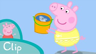 Peppa Pig  Rescuing Mrs Fish clip [upl. by Ramej]