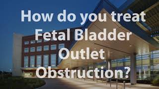 What Is Fetal Bladder Outlet Obstruction [upl. by Trebla293]