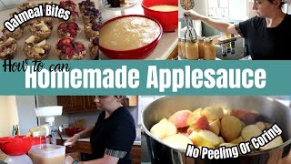 Perfect Homemade Applesauce No Peeling or Coring Plus Delicious Oatmeal Bites [upl. by Thapa184]