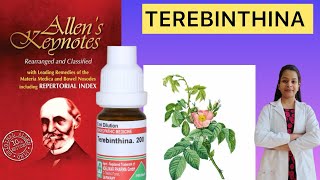 Terebinthenia homeopathic medicine Allen’s keynote materia medica in Hindi [upl. by Colombi700]