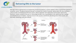 Oncolytic Virotherapy [upl. by Anaoj]