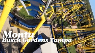 Montu  Onride Video  Freizeitpark Busch Gardens Tampa Bay [upl. by Lorelei]