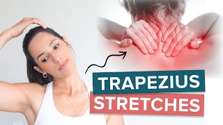 9 Effective Trapezius Stretches to Release Trapezius Pain and Tightness [upl. by Wilma]