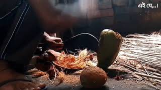 EngvlogPEELINGCOCONUTSKINOFF🥥 MyfirstYTEnglishfacevlog Shreeসন্দীপনचक्रबर्तीVLOGS [upl. by Dominique]