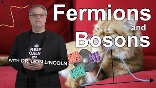 Fermions and Bosons [upl. by Freemon556]