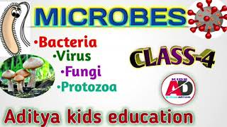 Microbes  Class 4 [upl. by Sil450]