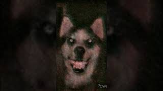 Smile Dog Creepypasta Edit [upl. by Acsisnarf]