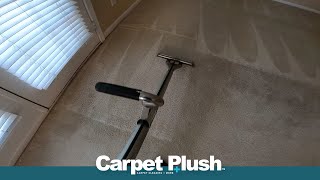 Dirty Carpet Traffic Lane Cleaning  asmr carpetcleaning carpet Car Interior cardetailing [upl. by Dygall]