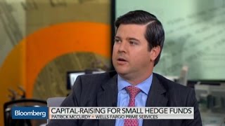 How Much Money Does a Hedge Fund Startup Need [upl. by Aholah808]