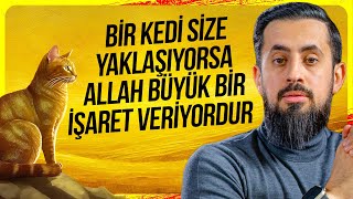 Bir Kedi Size Yaklaşıyorsa Allah Büyük Bir İşaret Veriyordur  Kelb Mehmedyildiz [upl. by Halliday]