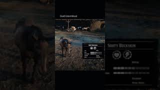 RDR2 • All Dutch Warmblood Horse Colors and Locations • Red Dead Redemption 2 [upl. by Eerpud875]