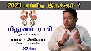 Mithunam Rasi 2023  New Year Rasipalan in tamil [upl. by Amaso]