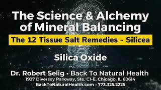 The 12 Tissue Salt Remedies  Silicea Silica Oxide [upl. by Akessej705]