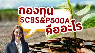 กองทุน SCBSampP500A มีดีอย่างไร ลงทุน SampP500 กองทุน apple microsoft [upl. by Luba]