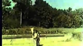 1944 German Color Film  Dancing Lipizzaner Horsesmp4 [upl. by Cy869]