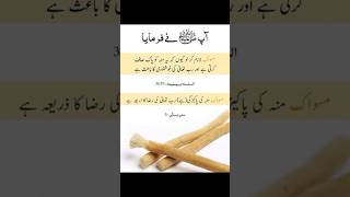 miswak miswak benefits hadeesenabvi صلی اللّٰہ علیہ وآلہ وسلم youtubeshorts [upl. by Anovahs]