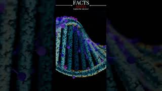 CRISPR Gene Editing Cas9 Technology  Exploring DNA Manipulation biotechnology shorts [upl. by Tiana]