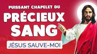 🙏﻿ CHAPELET du PRÉCIEUX SANG de JÉSUS 🙏﻿ Prière Puissante PROTECTION [upl. by Adnuhser893]