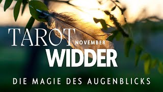 WIDDER  NOVEMBER ♈️ Bist du bereit die Schönheit des Wandels zu umarmen Liebe ist frei ♥️ [upl. by Venable]