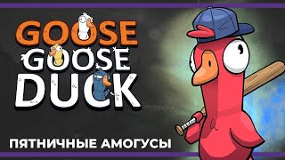 Пятничные амогусы  Eville и Goose Goose Duck 05012024 [upl. by Eecart]