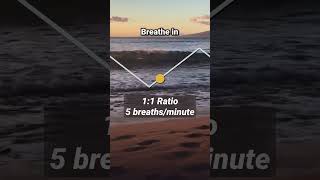 Breathing Exercise 5 Breaths Per Minute [upl. by Aisayt]