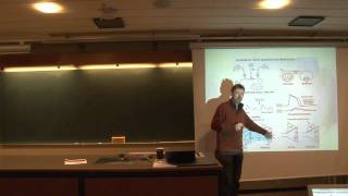 Neurobiiology 6 Lec  Classical Conditioning in Aplysia  Sensitization and Habituation 28 [upl. by Lekram]