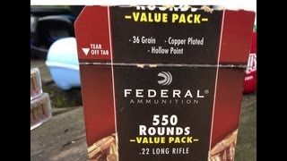 22LR Federal Value Pack750 36gr HP Velocity Test 5quot Barrel [upl. by Ahsiuq495]