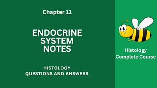 Endocrine System Notes PDF  Endocrine System Questions Answers  Class 912 Ch 11 Exam Notes App [upl. by Roleat533]