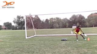 Goalkeeper training footwork amp agility drills [upl. by Arait254]