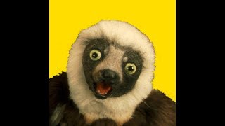 🐒 Como Desenhar um Zubumafu 🙉 How to draw Zoboomafoo [upl. by Claudy]