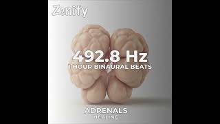 4928 Hz Binaural Beats  Adrenals Healing [upl. by Maurizio]