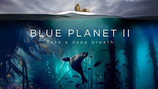 Blue Planet II  The Prequel [upl. by Airoled746]