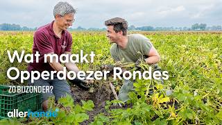 Wat maakt de Opperdoezer Ronde zon bijzondere aardappel  Lekker uit Nederland  Allerhande [upl. by Una]