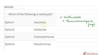 Which of the following is coenocytic [upl. by Nnylsoj]