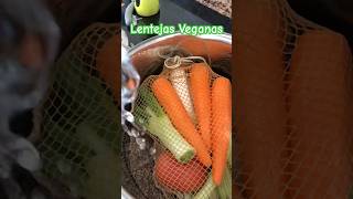 Lentejas Veganas homemade easy tasty traditional recipe reels receta vegan food foodie [upl. by Ahsikan]