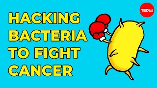 Hacking bacteria to fight cancer  Tal Danino [upl. by Hgeilyak]