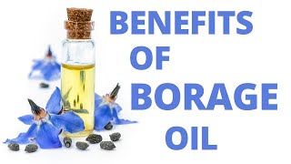 Benefits of Borage Seed Oil [upl. by Enetsirk]