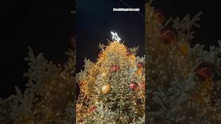 First Christmas Tree Lighting in Greece Celebrated in Halkidiki [upl. by Ilohcin390]