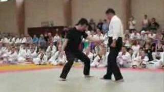 Europe Hapkido JJK Championship 2007 [upl. by Pierro]