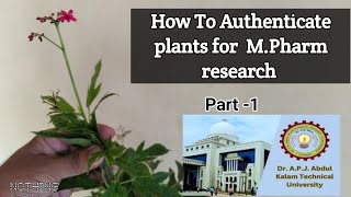 Plant Authentication before research in MPharm thesis work  AKTU pharmacognosy Complete Vlog2 [upl. by Thinia]