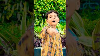 Viraj ne pachchio ko dana khilaya 😩🥰🥰 emotional motivation comedy viralvideo comedycouple [upl. by Kunz]