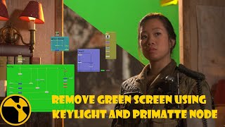 Nuke Compositing  Remove green screen using Keylight and Primatte node Hindi [upl. by Aneehta256]