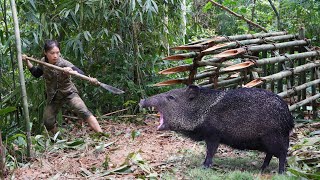 breaking into wild boars den being attacked by wild boar skills wild boar trap survival alone [upl. by Oetsira885]