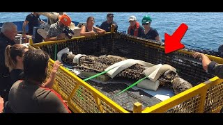 Ciò che alcuni pescatori hanno appena pescato sulla spiaggia lascia il mondo senza parole [upl. by Einhpets150]